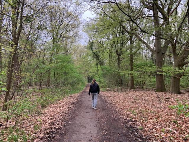 Stacaravan Huren In Het Hart Van Bosrijk Drenthe Op Recreatiepark De Tien Heugten Schoonloo Extérieur photo