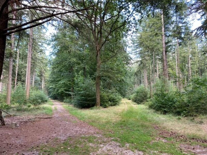 Stacaravan Huren In Het Hart Van Bosrijk Drenthe Op Recreatiepark De Tien Heugten Schoonloo Extérieur photo